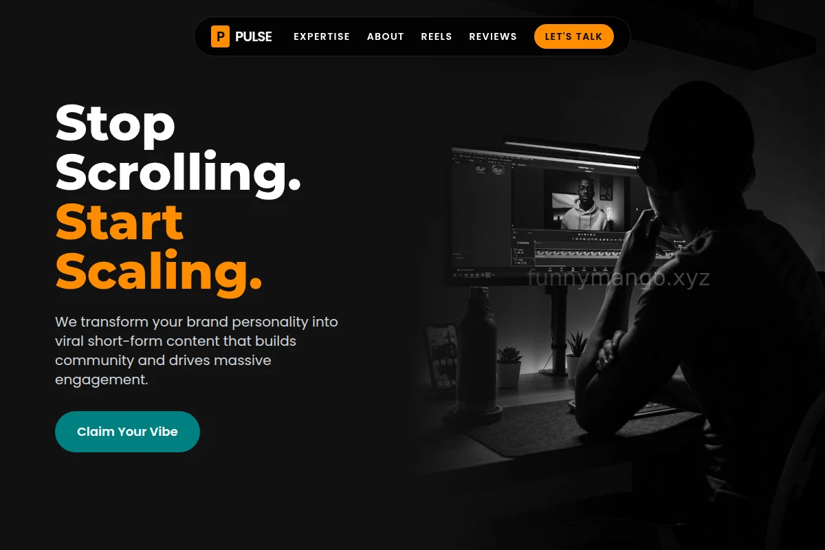 Pulse Short Form Video Agency