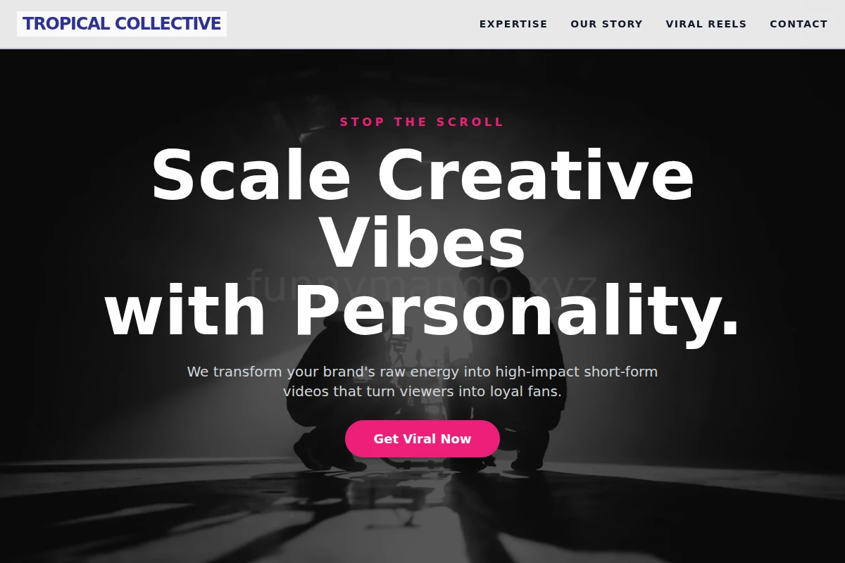 Vector Short Form Video Agency